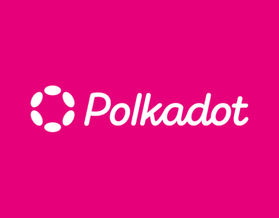 Polkadot Parachains