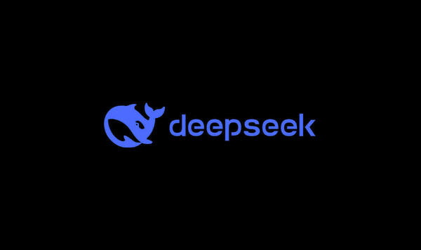 DeepSeek Profit